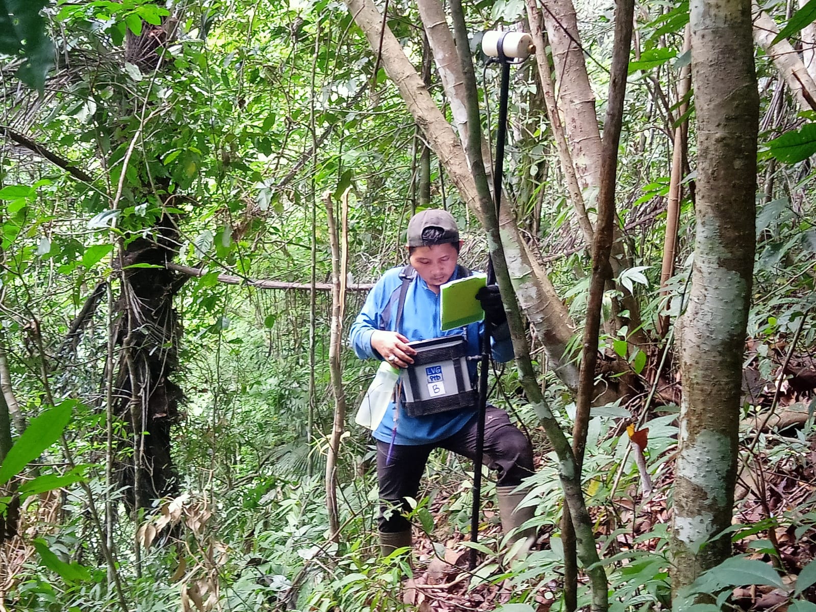 Geomagnet Survey